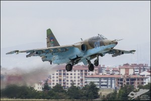 D7T_4218